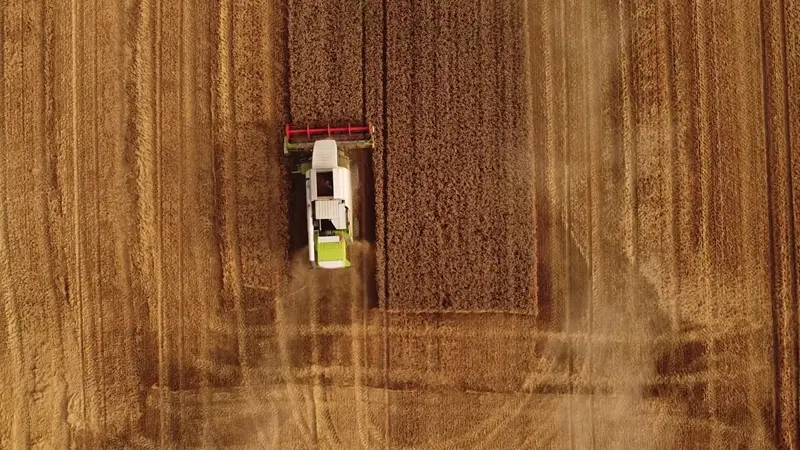 smart circuit
Kocadere Sulama